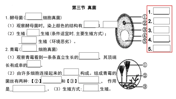 人教版生物八年级上册期末考试知识点汇总（课件）(共28张PPT)