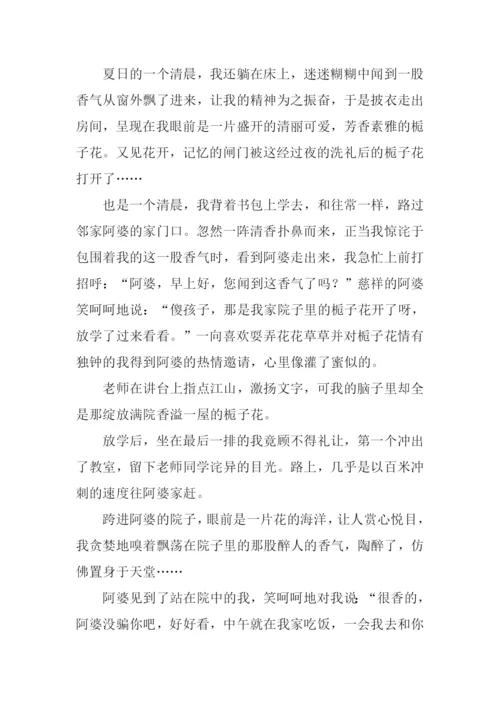 又见花开时作文.docx