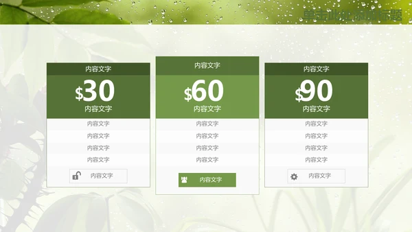 绿叶夏日雨季通用PPT模板