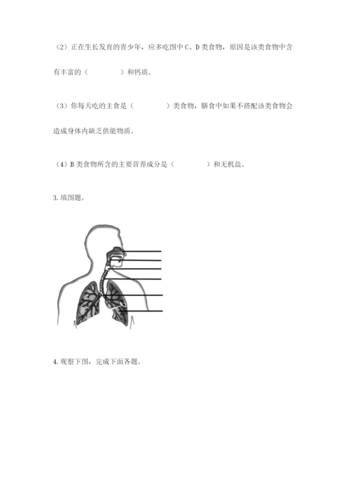 教科版四年级上册科学期末测试卷及答案一套.docx