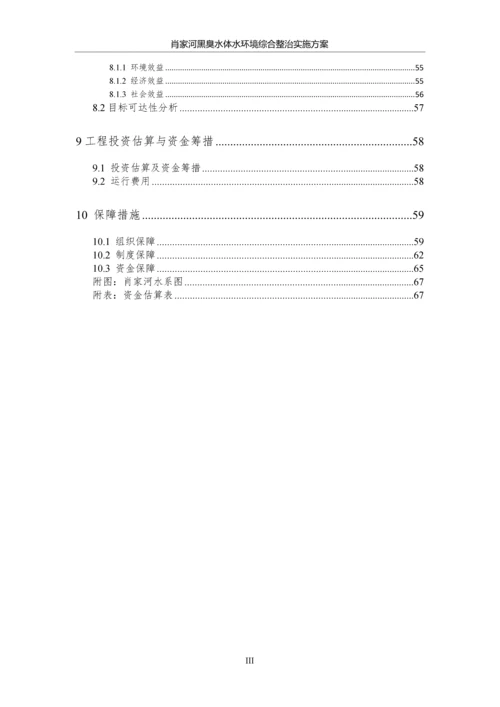 肖家河黑臭水体水环境综合整治实施方案.docx