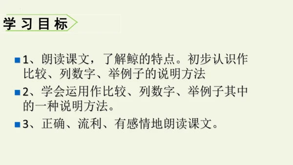 部编版 五年级语文上册第五单元习作例文 《鲸》（课件）