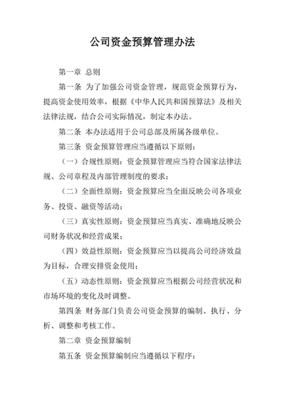 公司资金预算管理办法