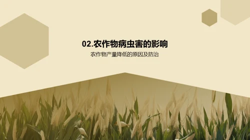 3D风教育培训教学课件PPT模板