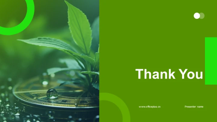 谷雨节营销攻略