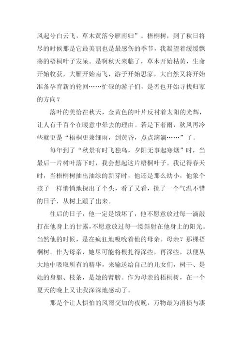 写秋天梧桐树的作文.docx