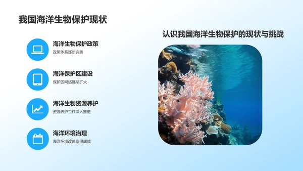 蓝色摄影风海洋生物知识科普PPT模板