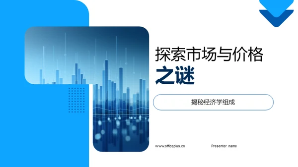 探索市场与价格之谜