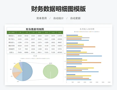 财务数据明细图模版