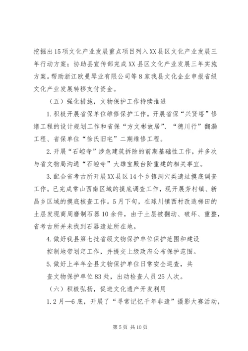 文广新局201X年上半年工作总结及下半年工作安排.docx