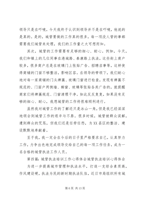 城管执法工作心得体会(精选多篇).docx