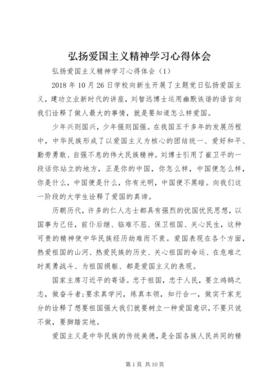 弘扬爱国主义精神学习心得体会.docx