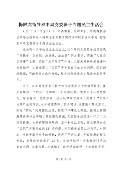 梅殿龙指导双丰局党委班子专题民主生活会.docx