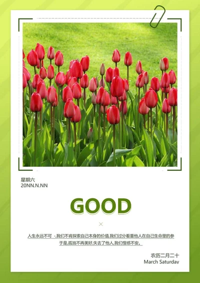 绿色小清新实景春天郁金香早安日签word模板