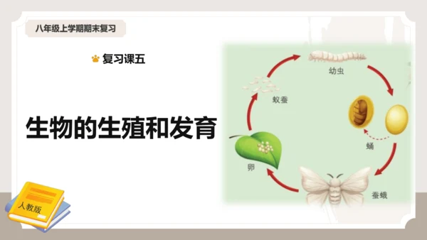 复习专题五生物的生殖和发育（串讲课件）-八年级生物上学期期末考点大串讲（人教版）(共20张PPT)