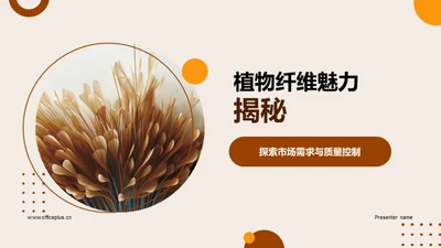 植物纤维魅力揭秘