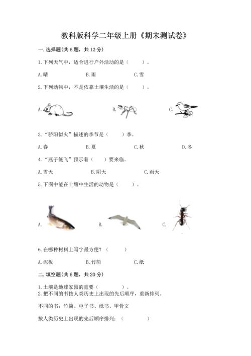 教科版科学二年级上册《期末测试卷》a4版打印.docx