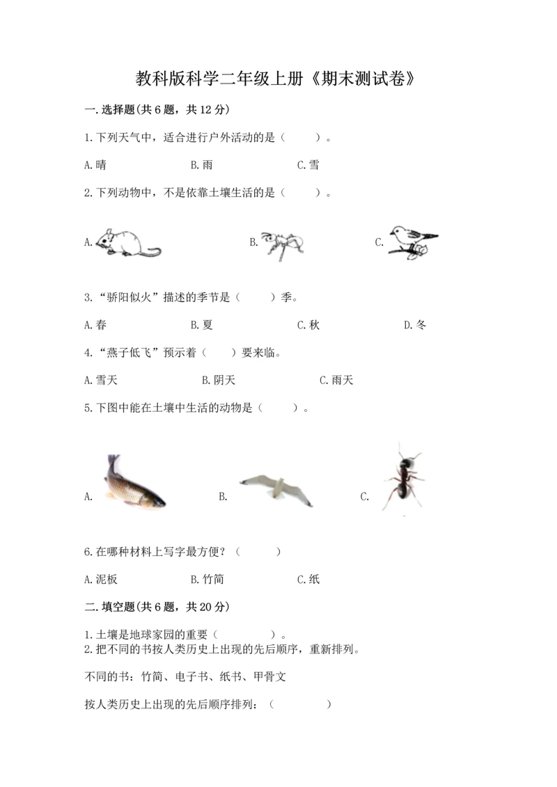教科版科学二年级上册《期末测试卷》a4版打印.docx