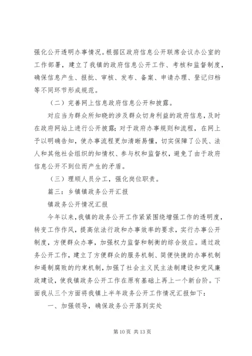 乡镇政务信息公开总结.docx