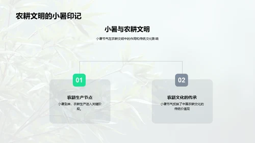 小暑节气揭秘