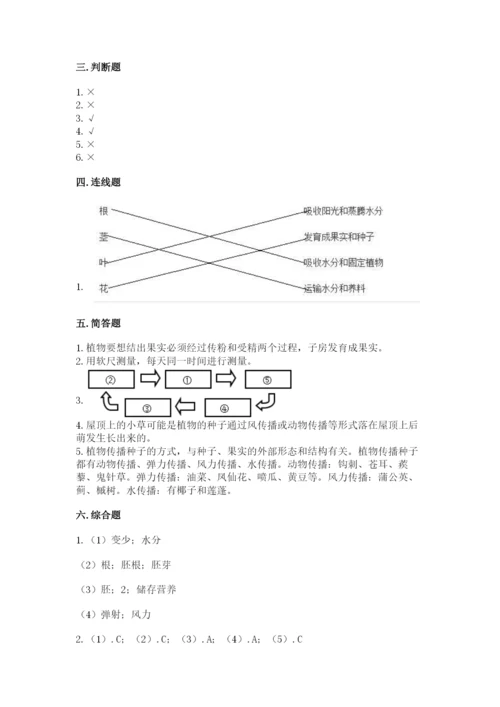 科学四年级下册第一单元植物的生长变化测试卷含答案（考试直接用）.docx