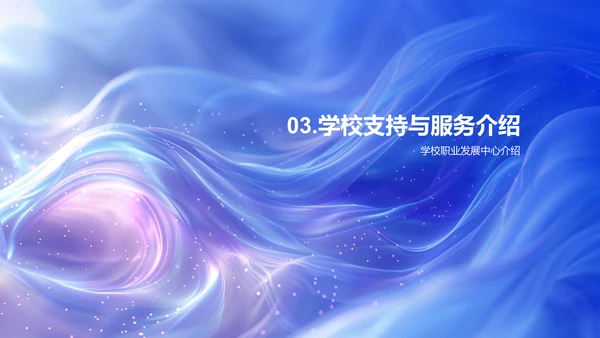 毕业规划透视报告