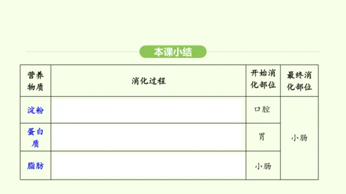 第四单元-第二章-第二节 第2课时 食物的吸收课件-2024-2025学年七年级生物下学期人教版(2