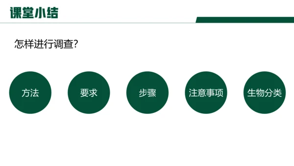 【核心素养目标】1.1.2《调查周边环境中的生物》课件(共23张PPT)