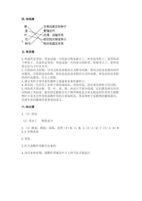 科学四年级下册第一单元《植物的生长变化》测试卷及参考答案【考试直接用】.docx