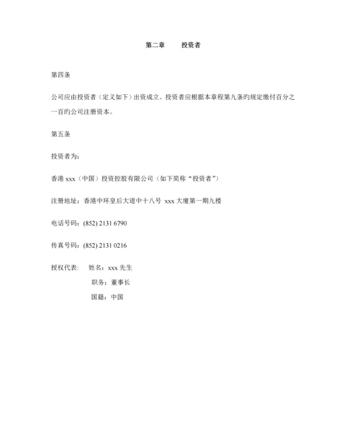 投资有限公司综合章程样本.docx