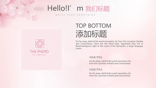 粉色唯美彩妆纹绣动态PPT