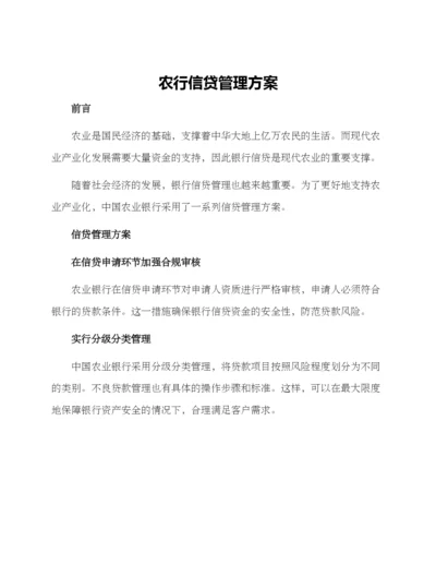 农行信贷管理方案.docx