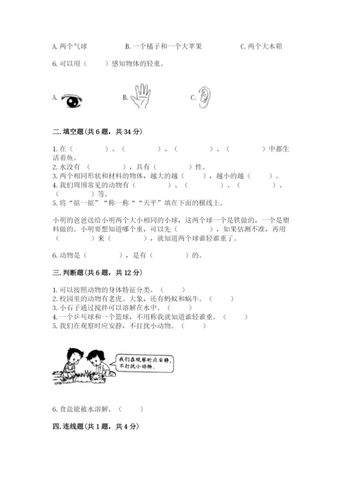 教科版一年级下册科学期末测试卷及答案（新）.docx