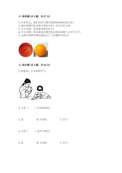 教科版小学科学一年级下册期末测试卷及参考答案（综合卷）.docx