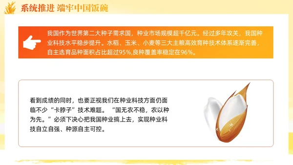 大学生形势与政策保障粮食安全的中国策ppt课件党建