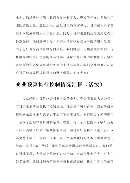 企业预算执行控制情况汇报