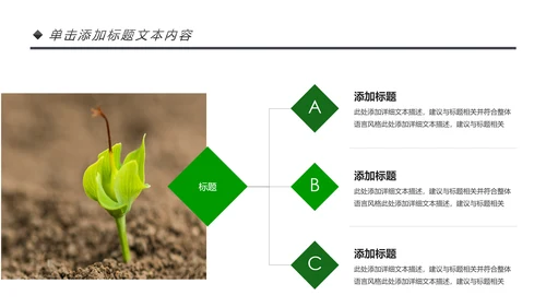 绿色唯美植物生长敬畏生命发芽PPT模板