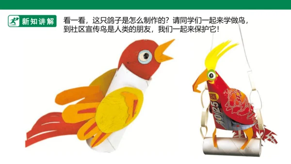 第十九课《我喜欢的鸟》课件