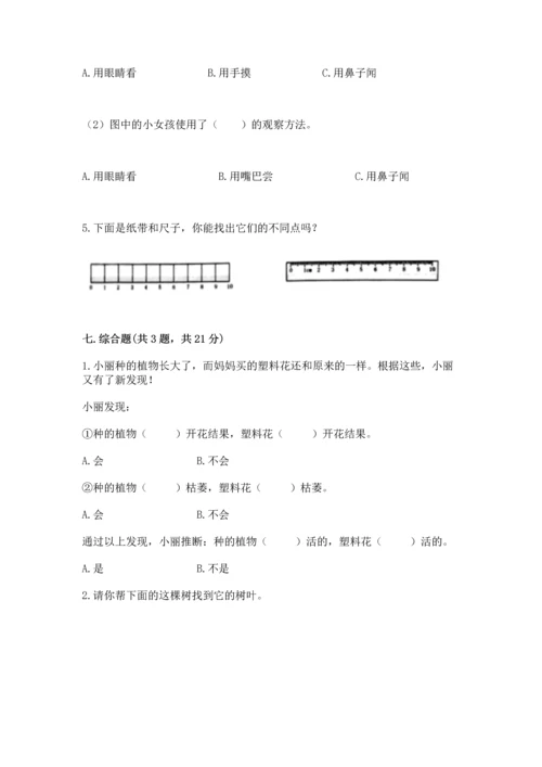 教科版小学一年级上册科学期末测试卷a4版.docx