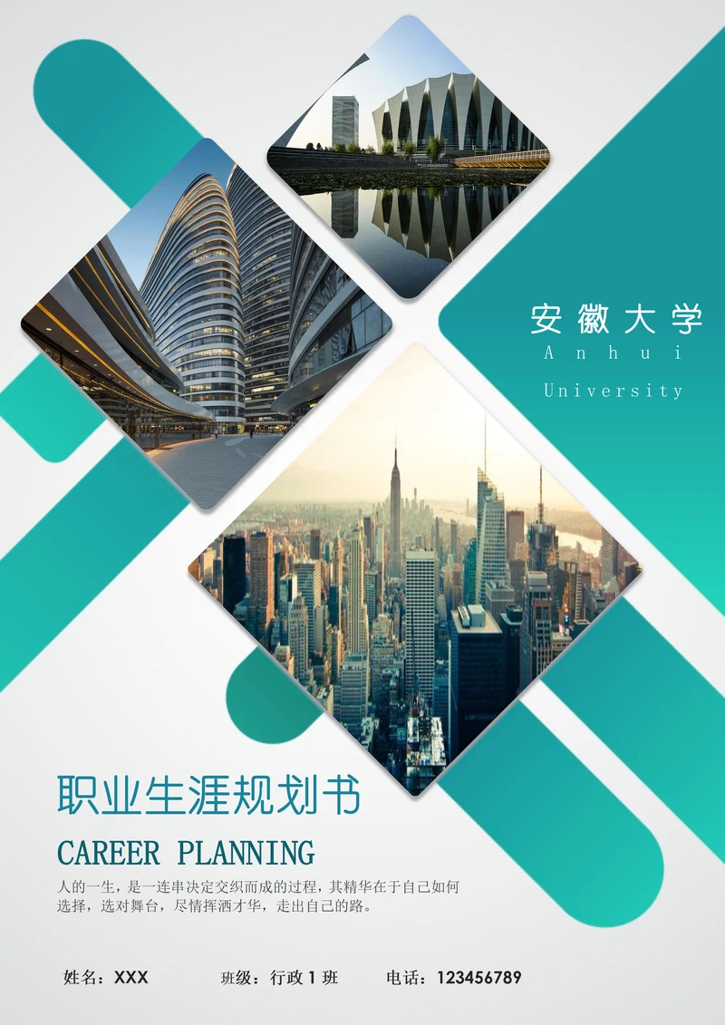 大学生职业生涯规划书模板标准