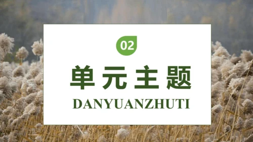 【核心素养】部编版语文四年级下册-21.芦花鞋（课件）