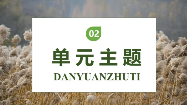 【核心素养】部编版语文四年级下册-21.芦花鞋（课件）