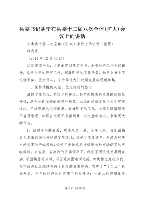 县委书记胡宁在县委十二届八次全体(扩大)会议上的讲话 (2).docx