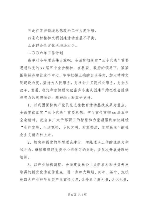 乡镇某年宣传思想工作总结及某年工作计划.docx