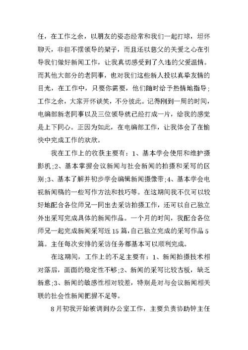 广电试用期工作总结模板