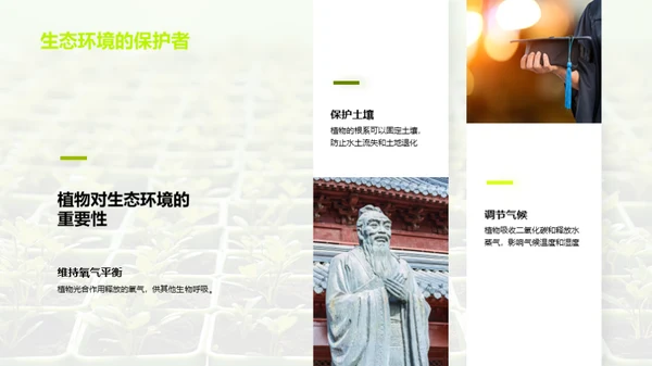 植物的奥秘世界