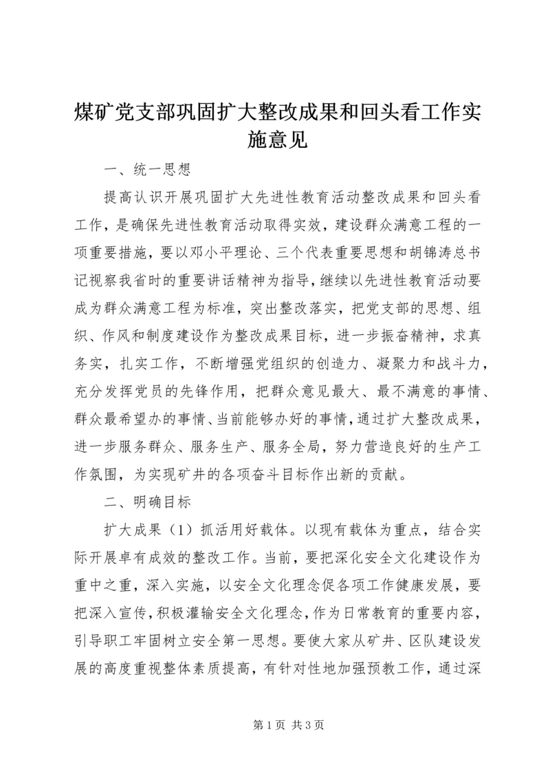 煤矿党支部巩固扩大整改成果和回头看工作实施意见 (7).docx