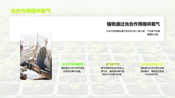 植物的奥秘世界