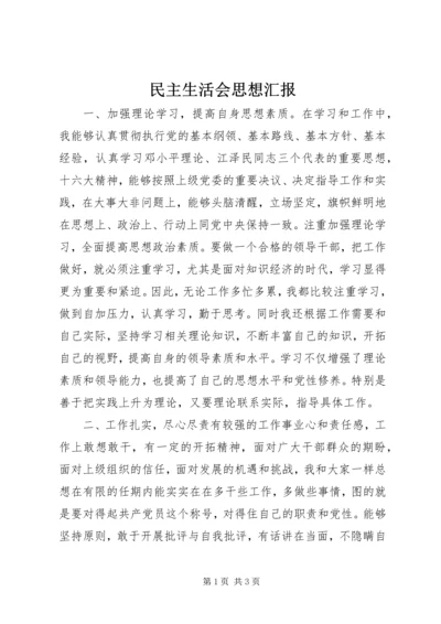 民主生活会思想汇报.docx