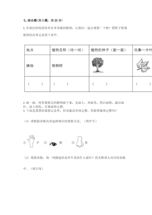 教科版科学一年级上册第一单元《植物》测试卷带答案（能力提升）.docx